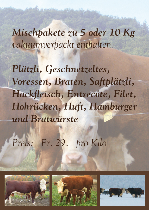 Flyer Mischpakete